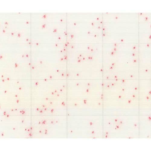 MC-Media Pad ACplus ���������ѿ�®������������ ���� (100��)