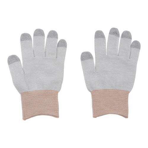 ���ť饤����� (������̵��) SS 1�� (10����) APNC-L1 SS