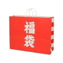 手提げ紙袋 25チャームバッグ 60-2 福袋 50枚 003299600