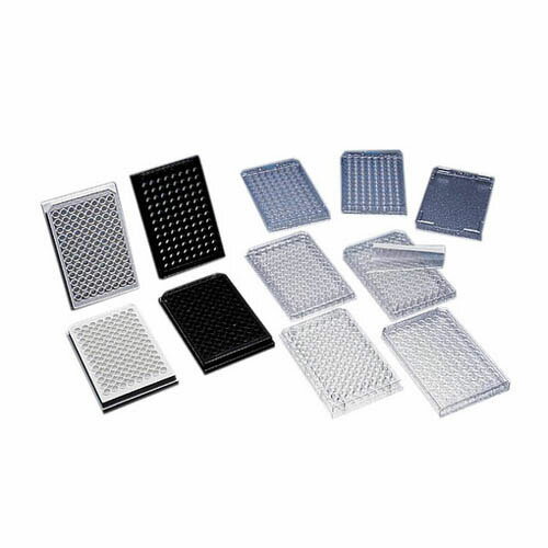 ���륫����㡼�ץ졼�� �ޥ��������ץ졼�ȡ�ʿ��ե��դ� 96������ ������ 353072