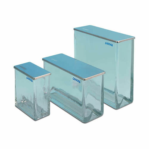 ���弰Ÿ���� 022.5256(�����ޥ�ʬ�ϵ���/15-0005)