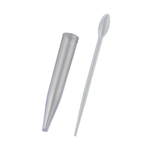 ��������A 131907