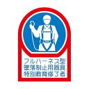 ヘルメット用ステッカー フルハーネス型墜落制止用器具特別教育修了者 35*25mm 10枚組 オレフィン 233128