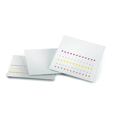 ̤����TLC�ץ졼�� �ָ��ؼ���̵ 200*200 ���饹�ץ졼�� 1.05721.0001