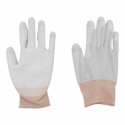 ���ť饤����� (���ʿ������) SS 1�� (10����) APNC-L3 SS