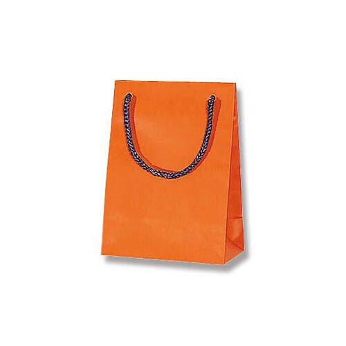 ���󤲻��� �֥饤�ȥХå� T-4 D����� (�ޥåȥ�����) 10�� 006143260