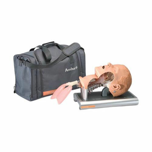 気道管理練習モデル 10208160