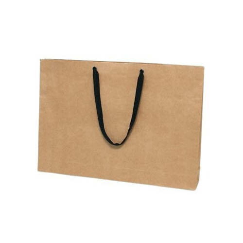 手提げ紙袋 ファッションバッグ LL 未晒無地 10枚 006470510