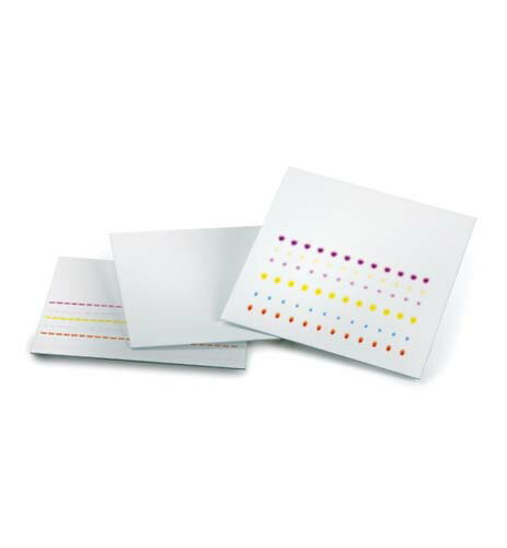 ̤����TLC�ץ졼��(�ָ��ؼ���F254) 100��200 ���饹 1.05729.0001