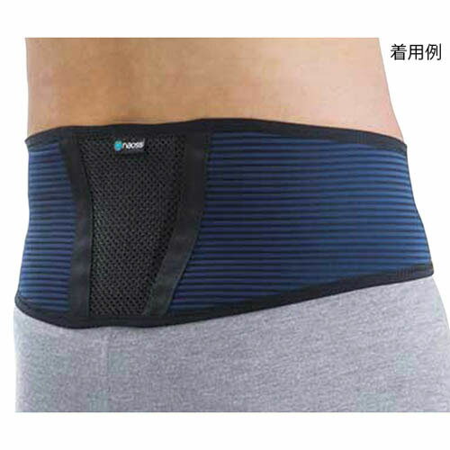 tamoto バックサポートベルト LL 202560