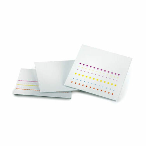 ̤����TLC�ץ졼��(�ָ��ؼ���F254) 200��200 ����� 1.05554.0001