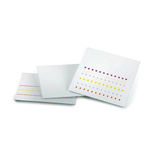 ̤����TLC�ץ졼��(�ָ��ؼ���F254) 50��75 ����� 1.05549.0001