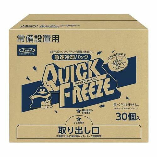 常時設置用 クイックフリーズ ミニ (HE) 1箱 (30個入) S3877-21
