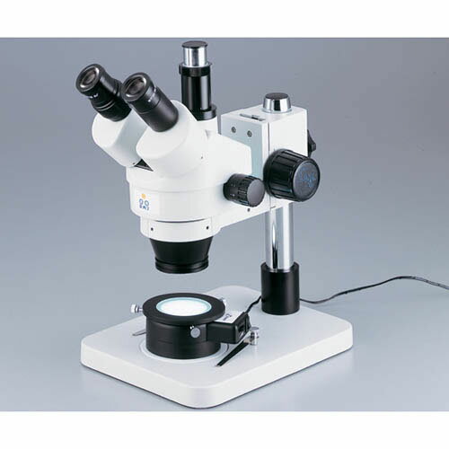 LEDƩ��������� (�ߥ顼�ޥ�) MR-2