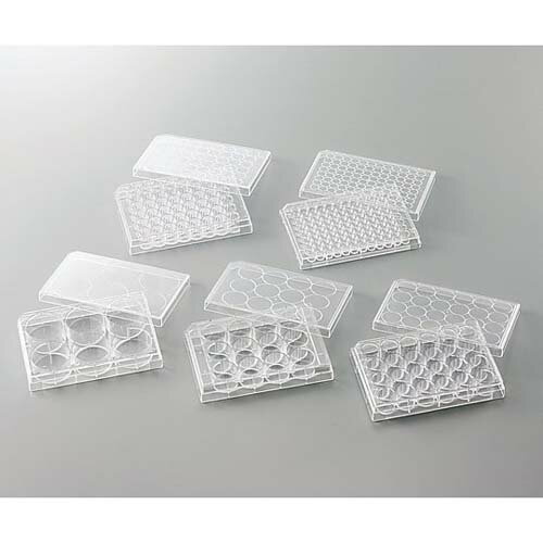 �ӥ���� ��˦���ܥץ졼�� VTC-P6