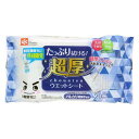 水の激落ちくんウエットシート 1袋 (20枚入) SS-180