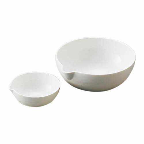 磁製蒸発皿 125mL FE-125