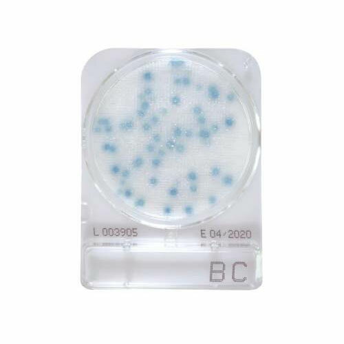 コンパクトドライ (セレウス菌検出用／4枚*10袋) 06533