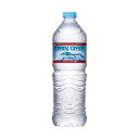 クリスタルガイザー 700mL 24本 016127(4)