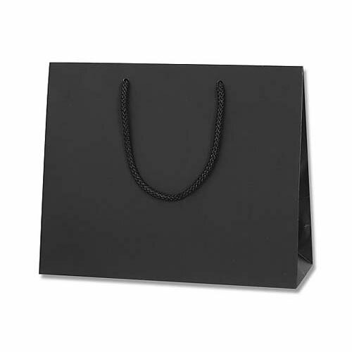 ���󤲻��� �֥饤�ȥХå� ��MT (�ޥå�PPŽ��) 10�� 006137975