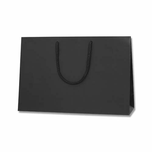 ���󤲻��� �֥饤�ȥХå� ��MT (�ޥå�PPŽ��) 10�� 006460001