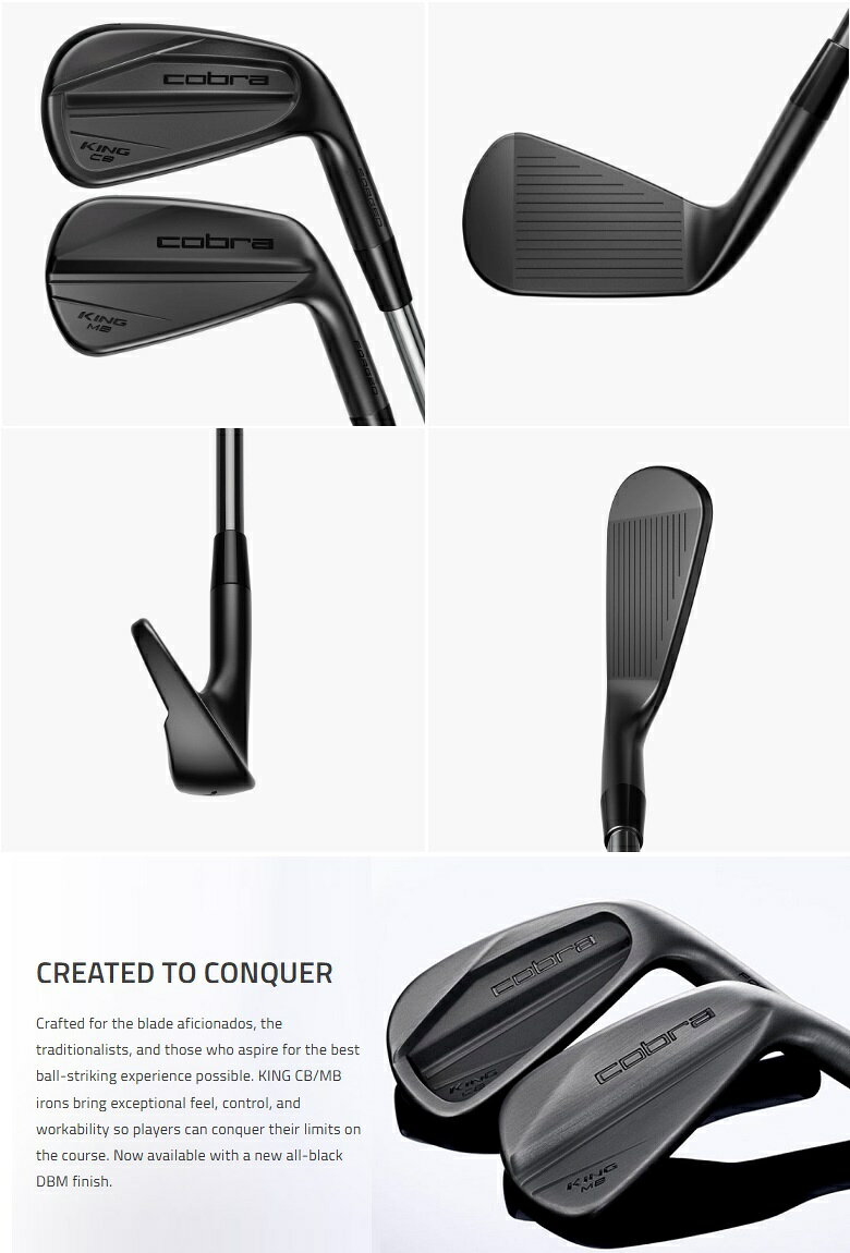 プロラインGolfのCobra Golf KING CB/MB Black Iron コブラゴルフ キング CB/MB ブラック コンボセット アイアン 6本セット カスタムシャフトモデル｜アングル2