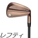 yteBfz胂fITaylorMade P790 Aged Copper Iron e[[Ch P790 GCWh Jbp[ ACA 4-PW (7{Zbg) [J[JX^f