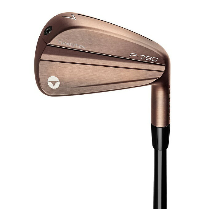 限定モデル！TaylorMade P790 Aged Copper Iron テーラーメイド P790 エイジド カッパー アイアン 4-PW (7本セット) メーカーカスタムモデル