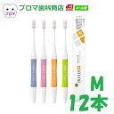 新商品 サンスター ハブラシ Bケア M(ふつう)12本アソート 送料無料(メール便)