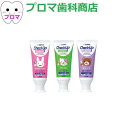 歯磨き粉 ライオン【歯科専売】チェックアップコドモ Check-Up kodomo 60g×10本 3種類 ストロベリー アップル グレープ 同一フレーバー10本セット 歯みがき粉