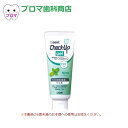 ライオン DENTチェックアップジェル ミント 75g 1本 フッ素濃度1450ppmF