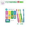 1000円ポッキリ 送料無料(メール便)Ciキッズ 5~7歳ブラッシング M(ふつう)12本(4色アソート)