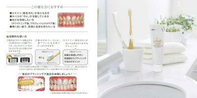 GCジーシールシェロホワイトお試しセットW-10歯ブラシ1本(色はおまかせ)+ルシェロホワイトペースト10g(試供品)送料無料(メール便)数量限定