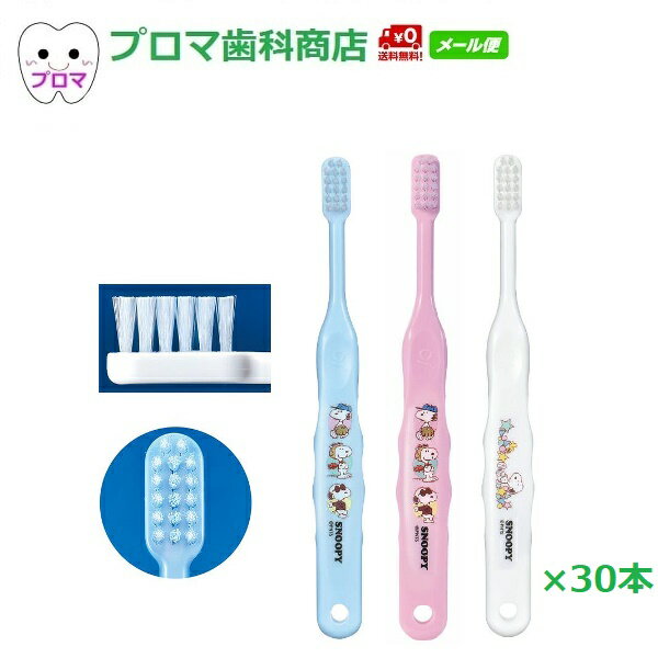NEW　送料無料(メール便)　Ciキャラクター　スヌーピー　S(やわらかめ)　30本アソート