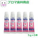 試供品 ライオン DENTチェックアップ kodomo コドモ5g×5本【ストロベリー】試供品 1人1点まで