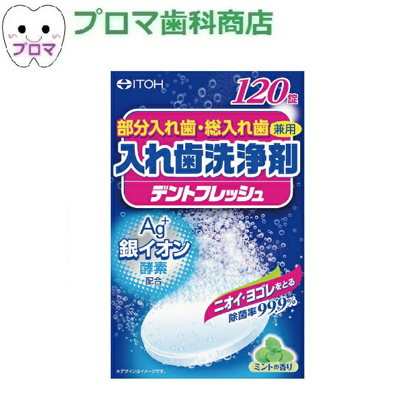 井藤漢方製薬　入れ歯洗浄剤デントフレッシュ120錠　1個