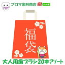 今だけラクレッシュタブレット付き!【おまけ付き】福袋 大人用歯ブラシ20本セット(当店おまかせ)送料無料(メール便) 歯科医専売 歯ブラシ まとめ買い 送料無料 母の日 父の日 プレゼント 2025年 ギフト