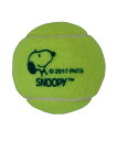 SNOOPY スヌーピー 23インチ ジュニア用 テニス ラケット SN-105 (テニス ラケット テニスラケット SNOOPY ジュニア 少年 子供 ケース付き ガット張り上げ済み)