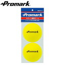 PROMARK プロマーク スポンジ練習球 2個入り ps-2296 (野球 ボール スポンジ 練習用 練習球 スポンジボール バッティングボール 飛ばない 屋内 室内)