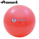 promark×立花龍司コラボ商品!! ジムボール 26cm レベル2 tpt0282 (インナーマッスル 腹筋 背筋 全身運動 体幹 筋トレ エクササイズ フィットネス ジム ダイエット)