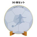 封筒 紙製スタンド付 大切な仲間に思い出を贈ろう イラスト入り デザイン サッカー 色紙 sk-002×30枚 (卒業 寄せ書き 卒部 卒団 記念品 卒業記念品 部活 転校 イラスト入り)