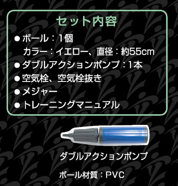 あす楽 PROMARK・プロマーク promark×立花龍司コラボ商品!! バランスボール 65cm レベル2 tpt0268 (インナーマッスル 腹筋 背筋 全身運動 体幹 筋トレ エクササイズ フィットネス ジム ダイエット)