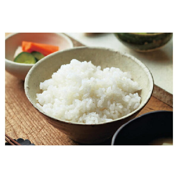 新品 ホシザキ 食器洗浄機 JWE-450RUC-R小型ドアタイプ 貯湯タンク内蔵食洗機　　業務用食器洗浄機食器洗浄機 業務用　送料無料