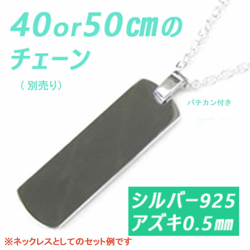 【名入れ対応】シルバー925 IDプレートネックレス《Large》｜選べる4カラー（ロジ...