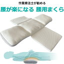 睡眠医療の作業療法士が勧める 腰を支える腰枕 眠+(ミンプラス) / 睡眠科学から生まれた自然な高低差で呼吸量をコントロールして寝入りを改善 腰が楽になる 枕 背中を支える 洗える枕 高さ調節可能 ズレない 折りたためる 眠気スッキリ枕 遠赤外線わた使用 ホワイト