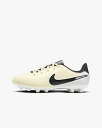 NIKE(ナイキ)　サッカースパイク　ジュニア レジェンド 10 アカデミー　（700）　DV4349