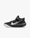 NIKE(ナイキ) チーム ハッスル D 10 フライイーズ ジュニア バスケットシューズ (004) DD7303