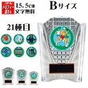 トロフィー【盾/楯】(樹脂製:KV5417B)15.5cm:幅12cm:重量170g【卒団 卒業記念品 名入れ】★大人気:この道一筋のトロフィー屋さん一押しの樹...