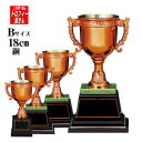優勝カップ(樹脂製)(18cm)【色選択:銅】★文字代無料★デザイン重視★【レプリカとしても最適】