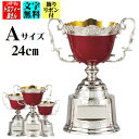 優勝カップ(24cm)【送料無料:AC9507A】★文字彫刻無料★リボン代込★【高級色彩カップ】